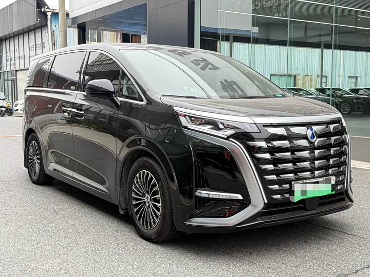 Фото 3 - Denza D9