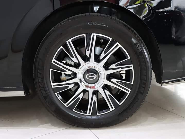 Фото 22 - GAC Trumpchi E9