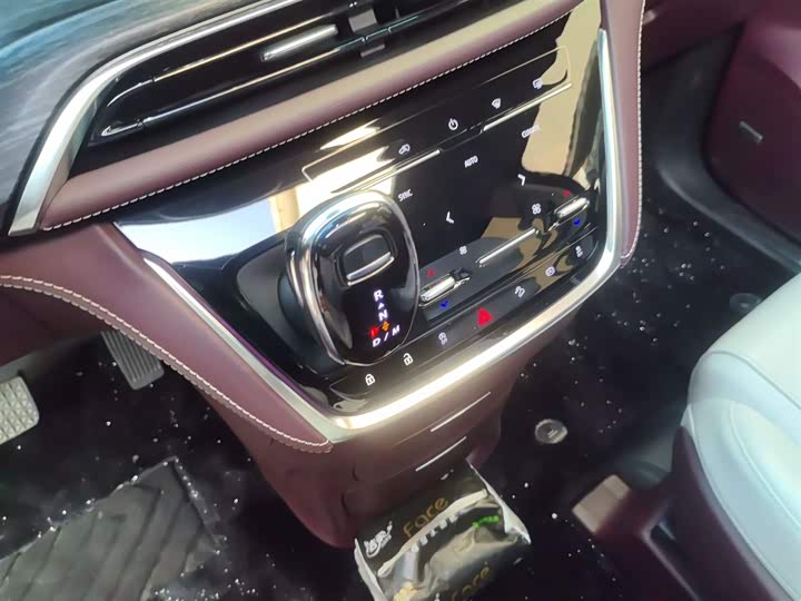 Фото 14 - Buick GL8 ES