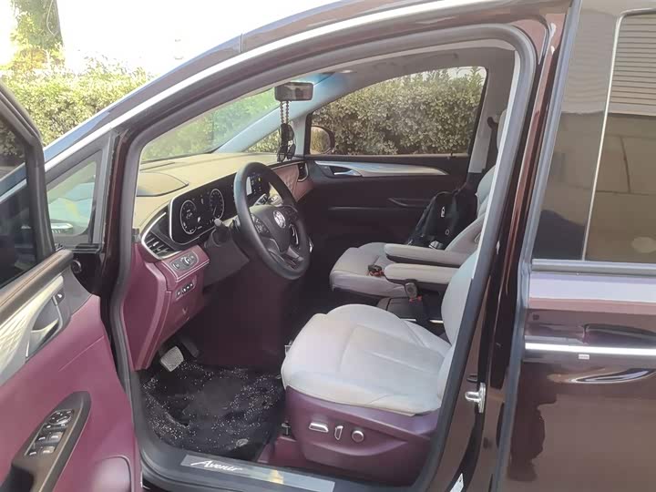 Фото 15 - Buick GL8 ES