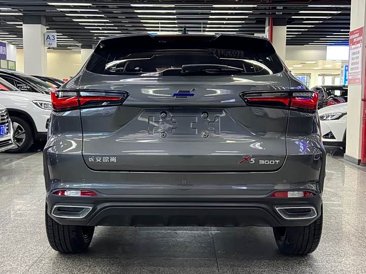 Фото 25 - Changan Oshan X5