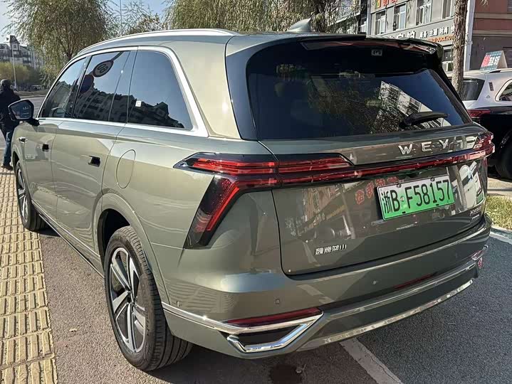 Фото 4 - Wey Lanshan