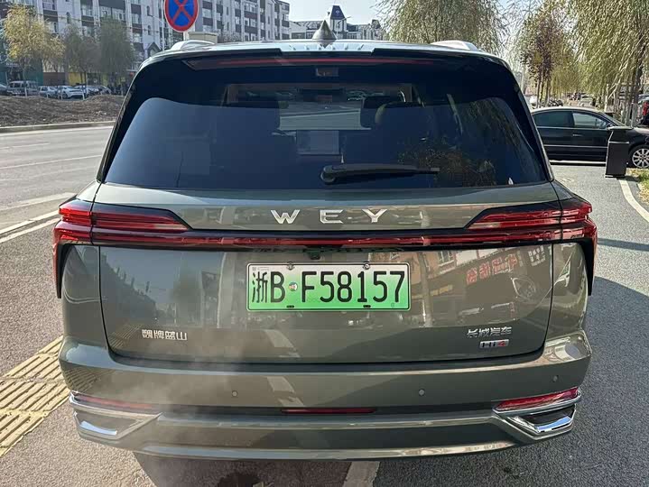 Фото 5 - Wey Lanshan