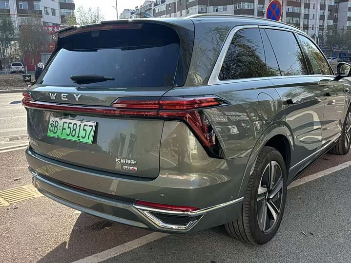 Фото 6 - Wey Lanshan