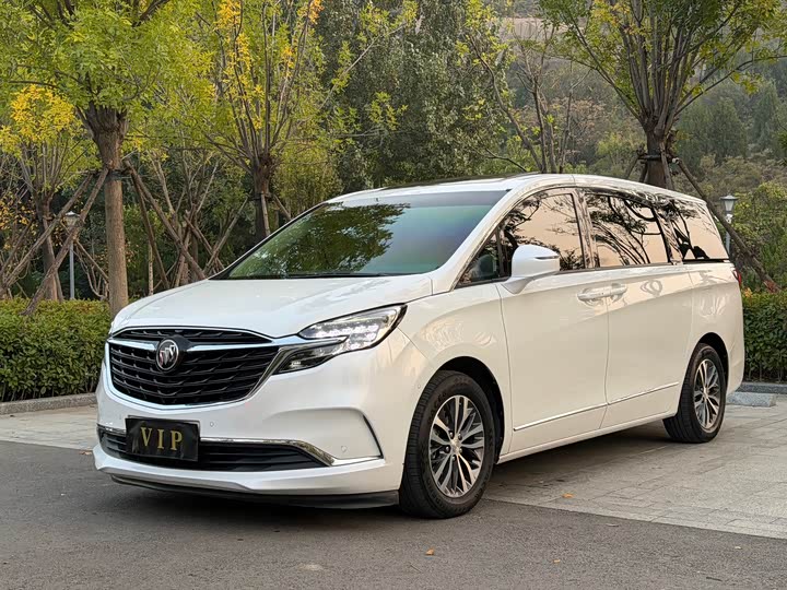 Фото 1 - Buick GL8 ES