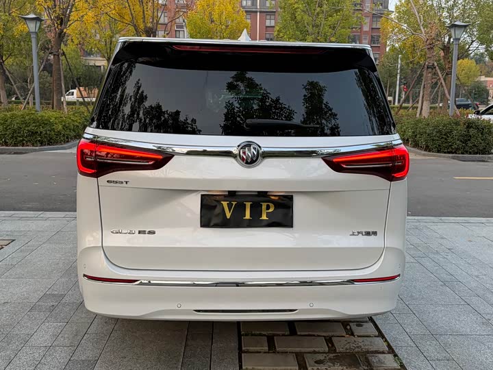 Фото 18 - Buick GL8 ES