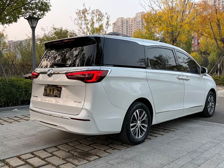 Фото 19 - Buick GL8 ES