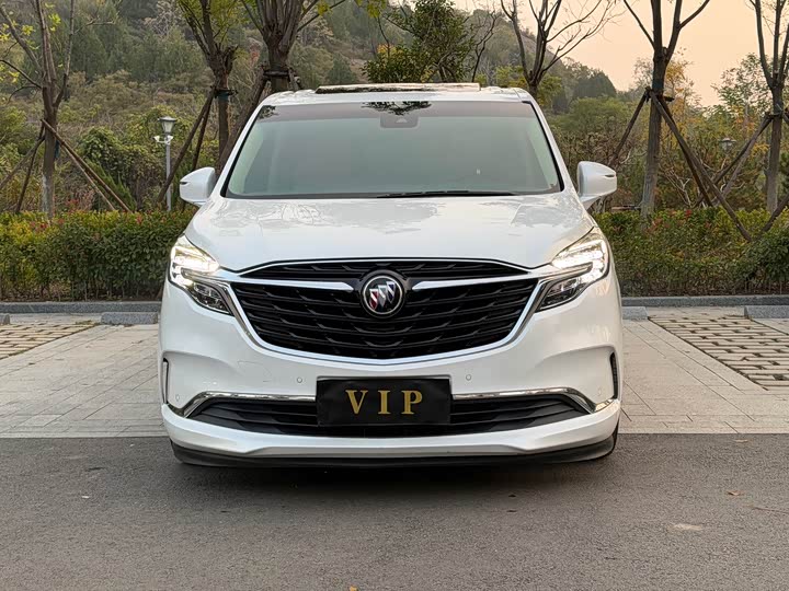 Фото 2 - Buick GL8 ES