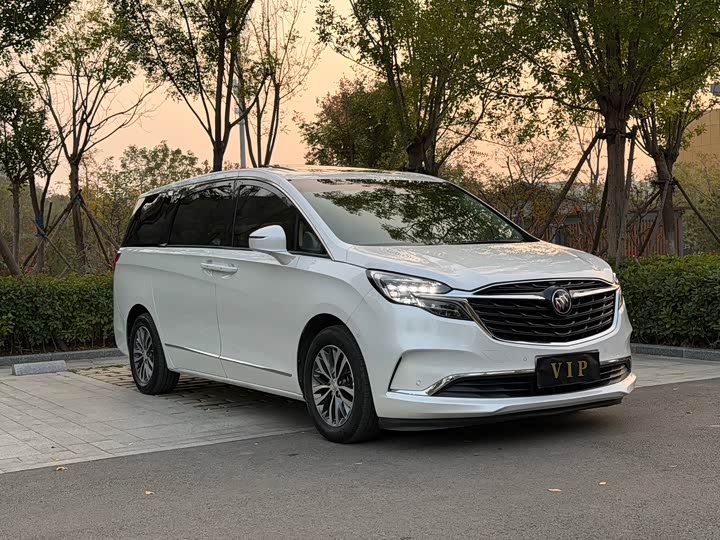 Фото 3 - Buick GL8 ES