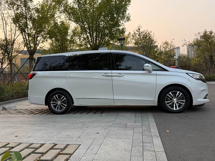 Фото 4 - Buick GL8 ES