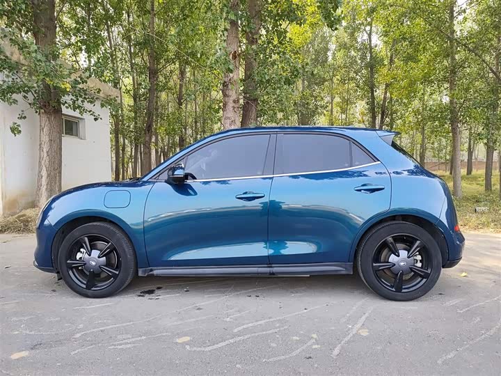 Фото 5 - Ora Good Cat (03)