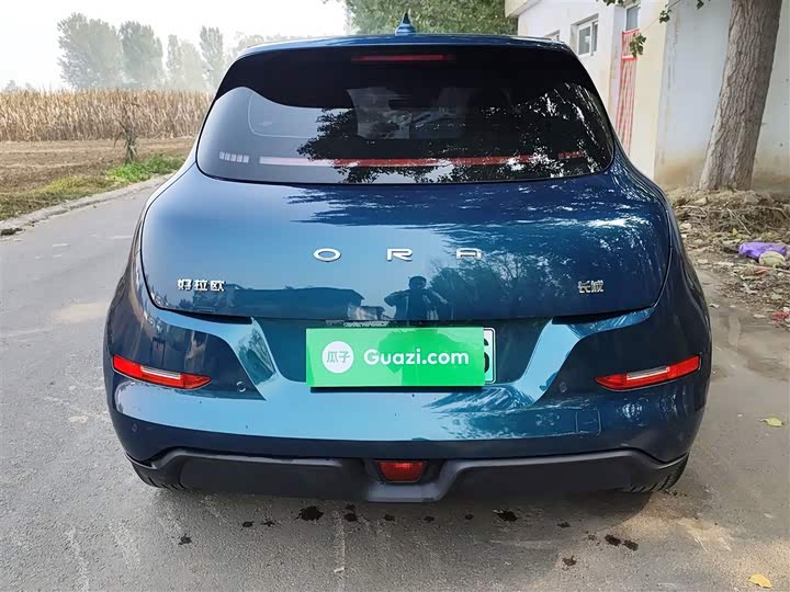 Фото 6 - Ora Good Cat (03)