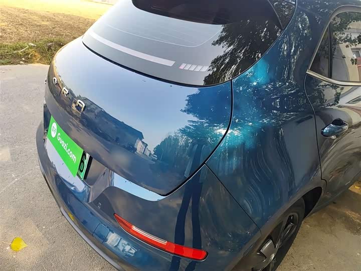 Фото 8 - Ora Good Cat (03)