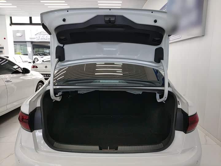 Фото 19 - Volkswagen Sagitar L