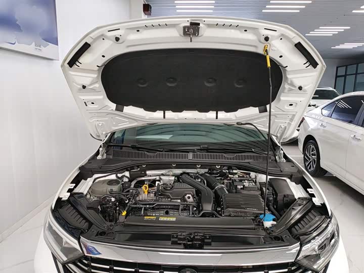 Фото 20 - Volkswagen Sagitar L