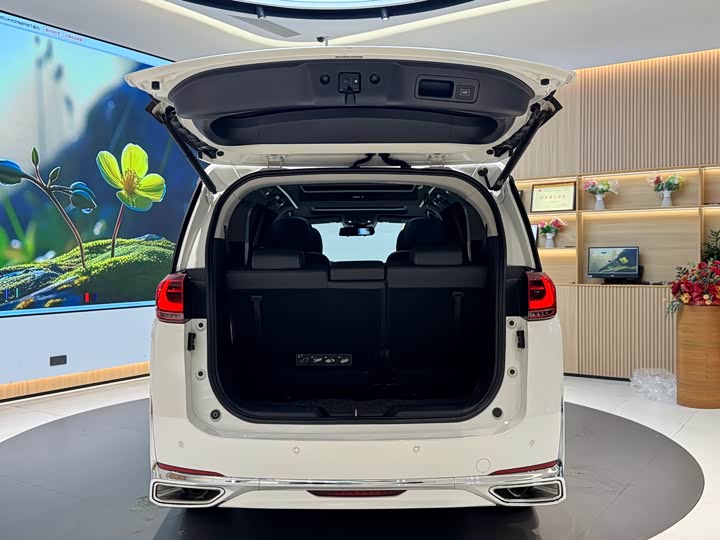 Фото 24 - GAC Trumpchi M8