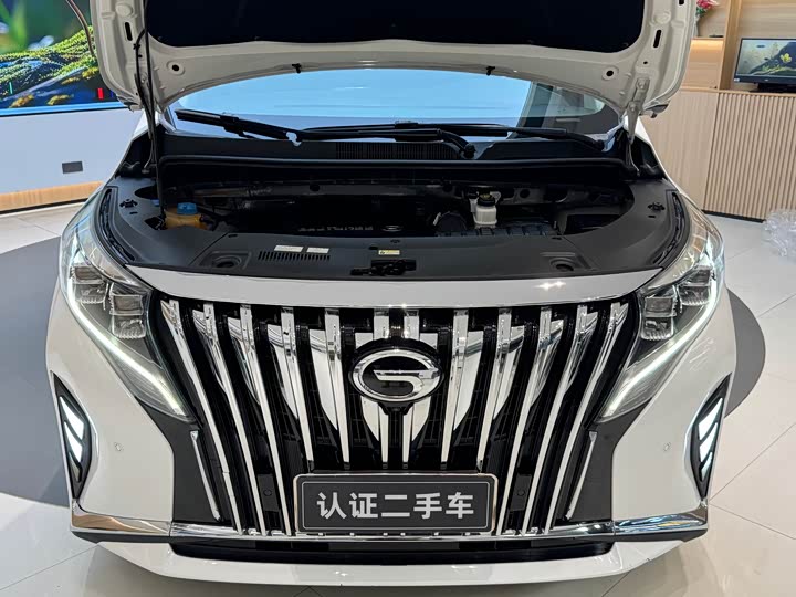 Фото 6 - GAC Trumpchi M8