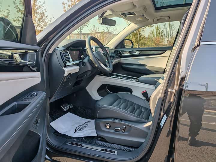 Фото 9 - Volkswagen Teramont X