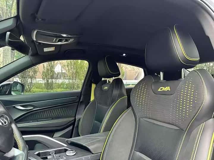 Фото 8 - Geely Tugella S