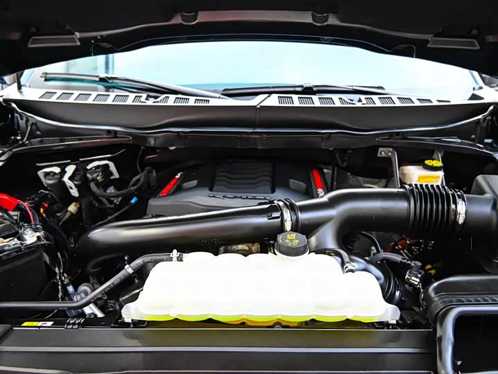 Фото 34 - Ford F-150 Raptor