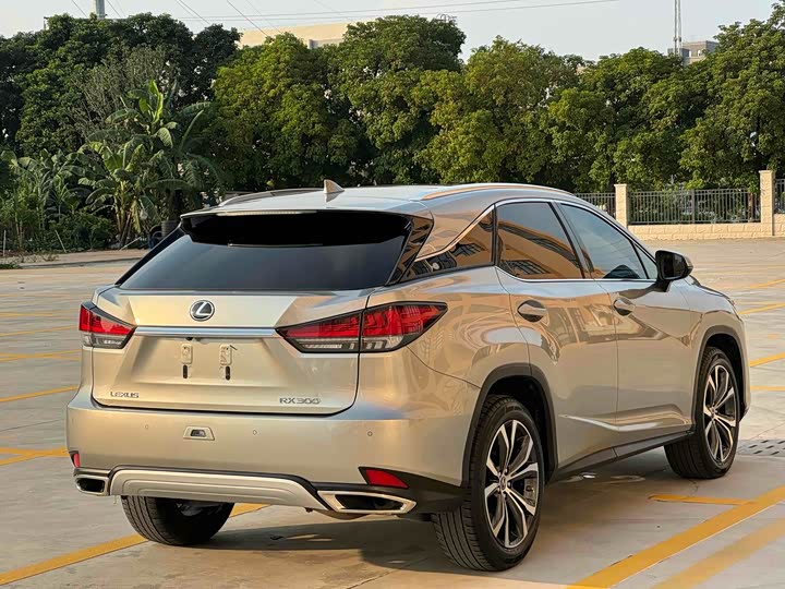 Фото 8 - Lexus RX