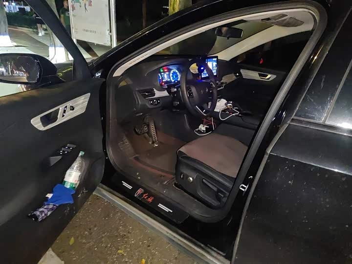 Фото 14 - Hongqi E-QM5