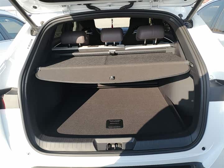 Фото 9 - BYD Song Plus Hybrid/EV