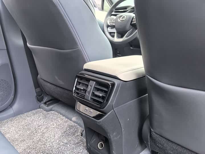 Фото 15 - Lexus RZ