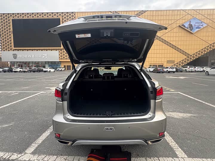 Фото 12 - Lexus RX