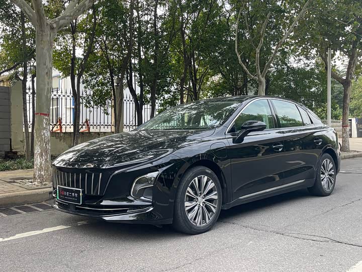 Фото 1 - Hongqi E-QM5