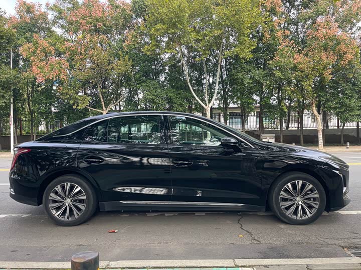 Фото 12 - Hongqi E-QM5