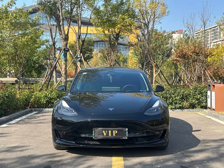 Фото 2 - Tesla Model 3