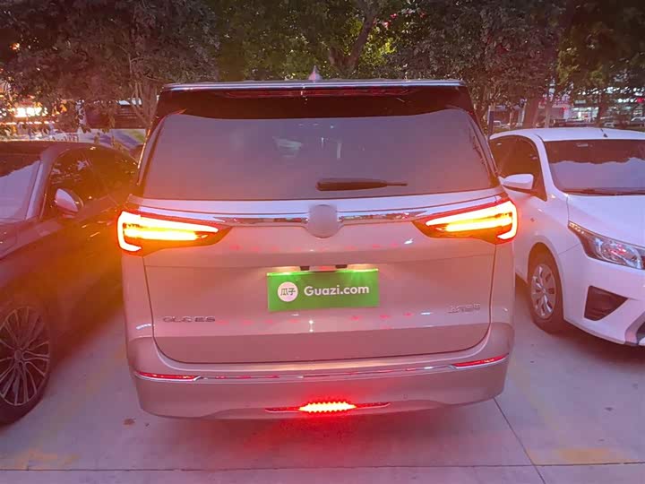 Фото 6 - Buick GL8 ES