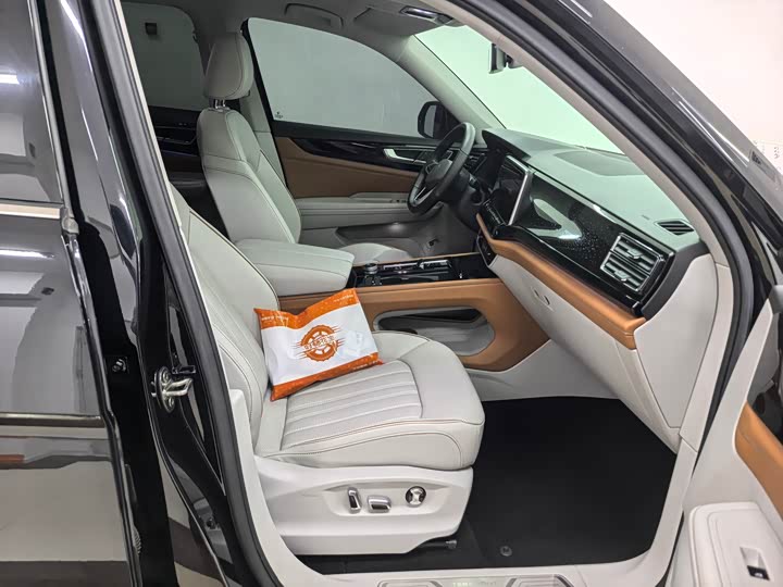 Фото 16 - Volkswagen Teramont Pro