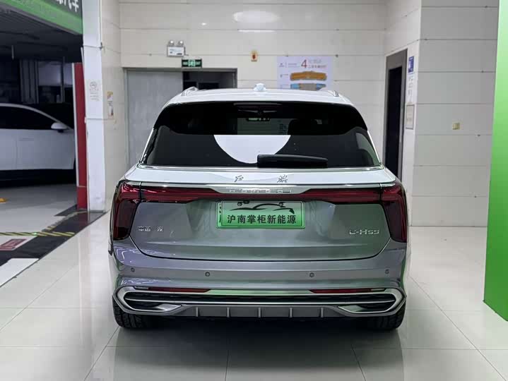 Фото 10 - Hongqi E-HS9