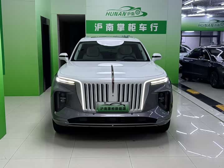 Фото 2 - Hongqi E-HS9
