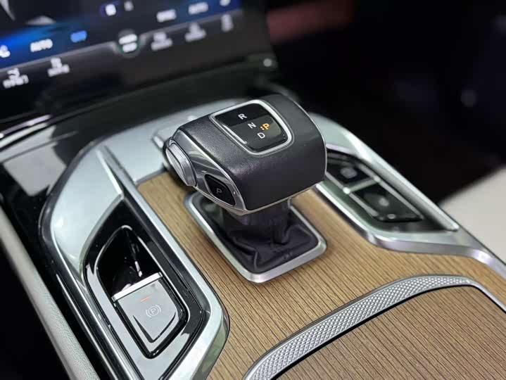 Фото 4 - Hongqi E-HS9