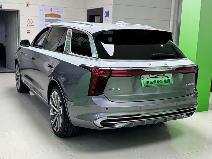 Фото 9 - Hongqi E-HS9