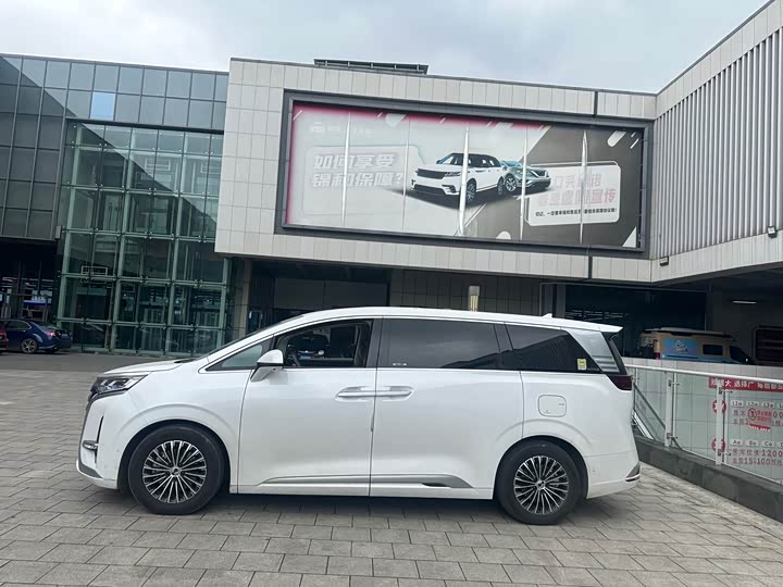 Фото 4 - Denza D9