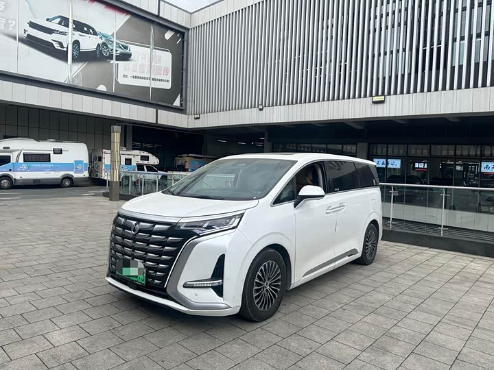 Фото 8 - Denza D9