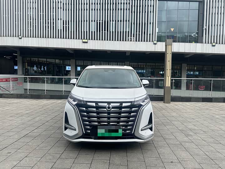 Фото 9 - Denza D9