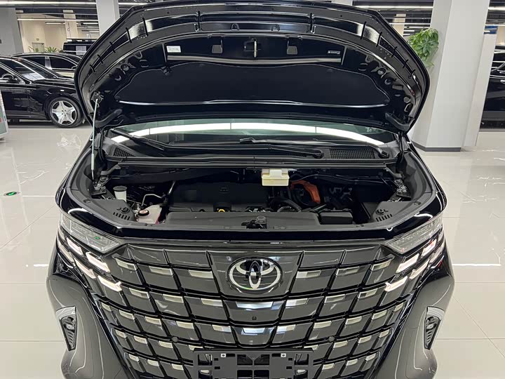 Фото 25 - Toyota Alphard