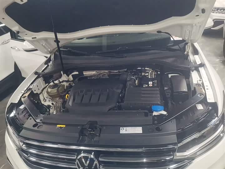 Фото 20 - Volkswagen Tiguan L Pro