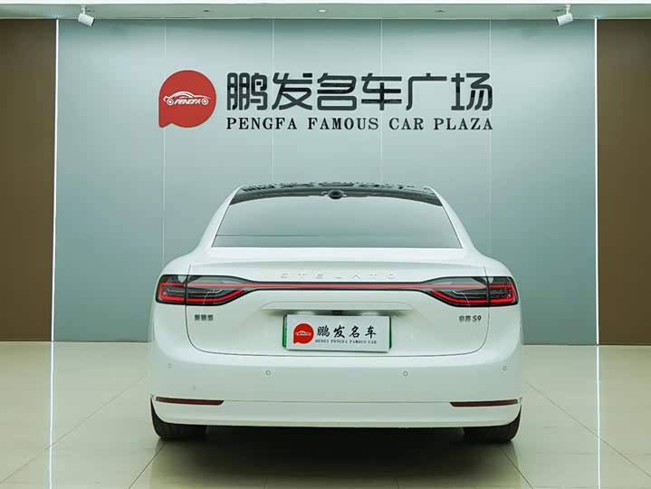 Фото 21 - Stelato S9