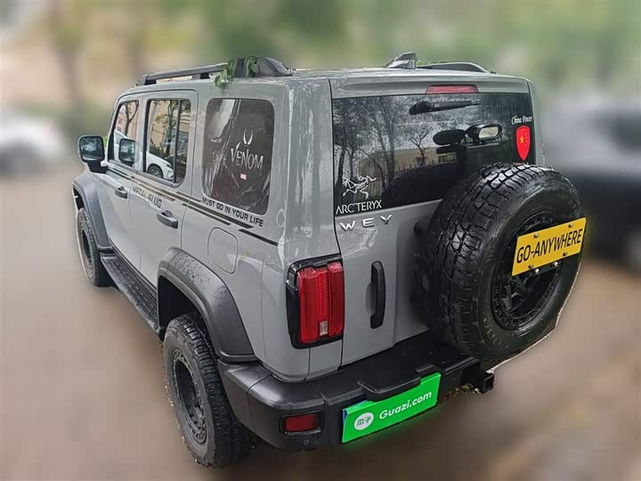 Фото 26 - Tank 300