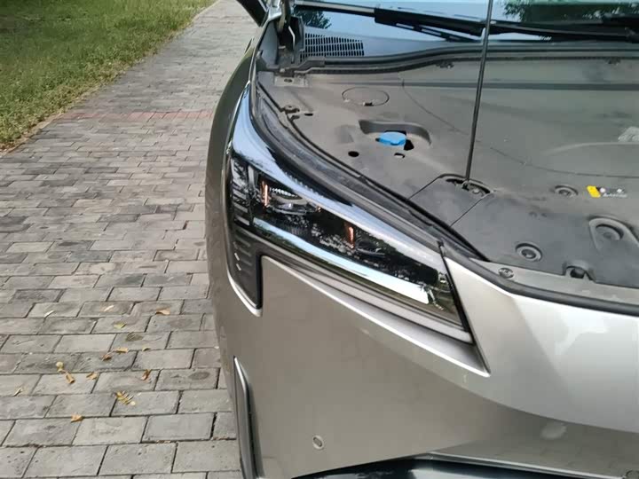 Фото 30 - GAC Aion LX