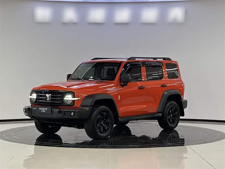 Фото 2 - Tank 300