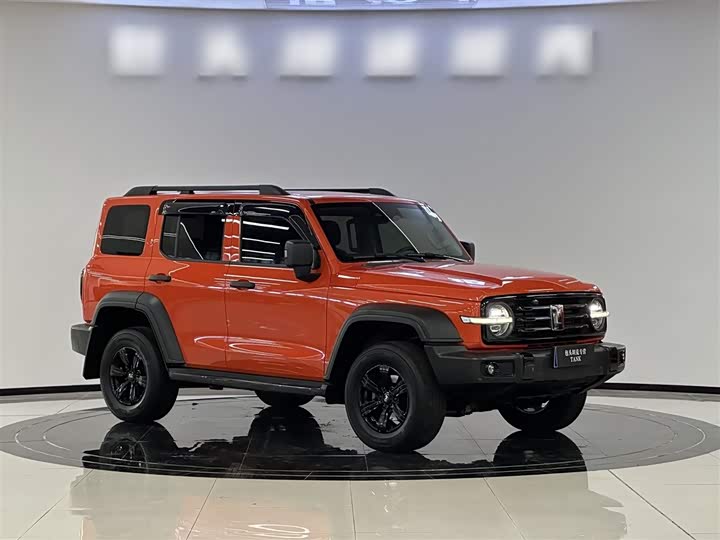 Фото 3 - Tank 300