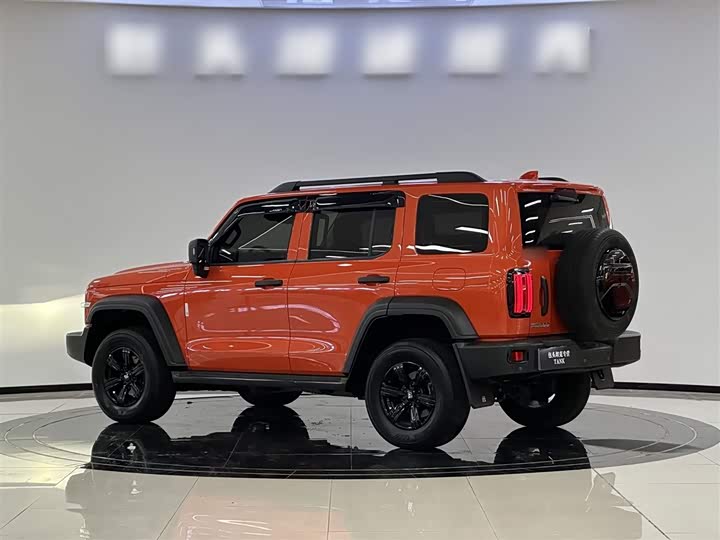 Фото 4 - Tank 300