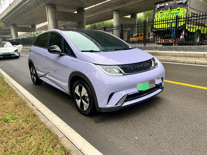 Фото 1 - BYD Dolphin